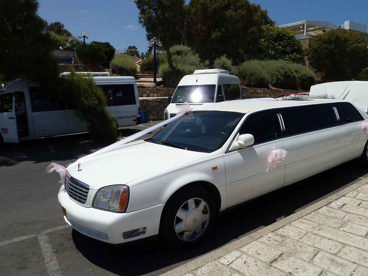 Decorated wedding limousines